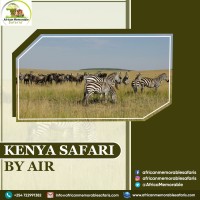Kenya Safari By Air